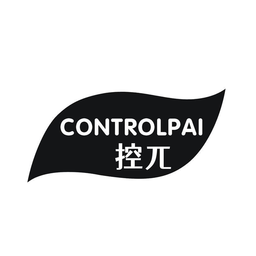 控兀 CONTROLPAI