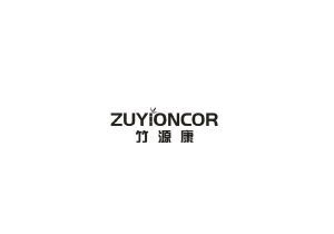 竹源康 ZUYIONCOR