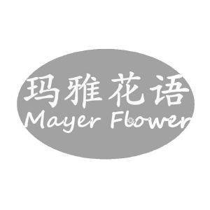 玛雅花语 MAYER FLOWER