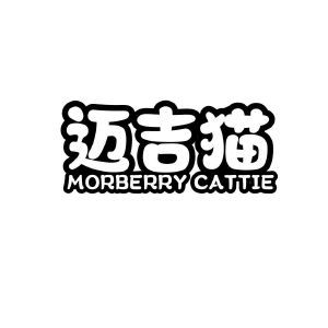 迈吉猫 MORBERRY CATTIE