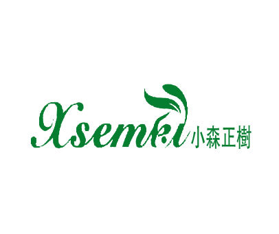 小森正树 XSEMKI
