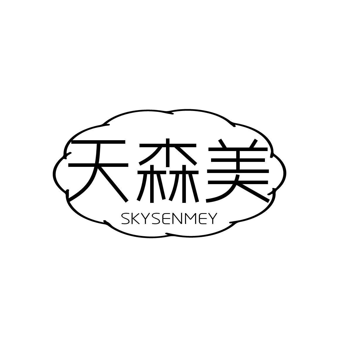 天森美  SKYSENMEY