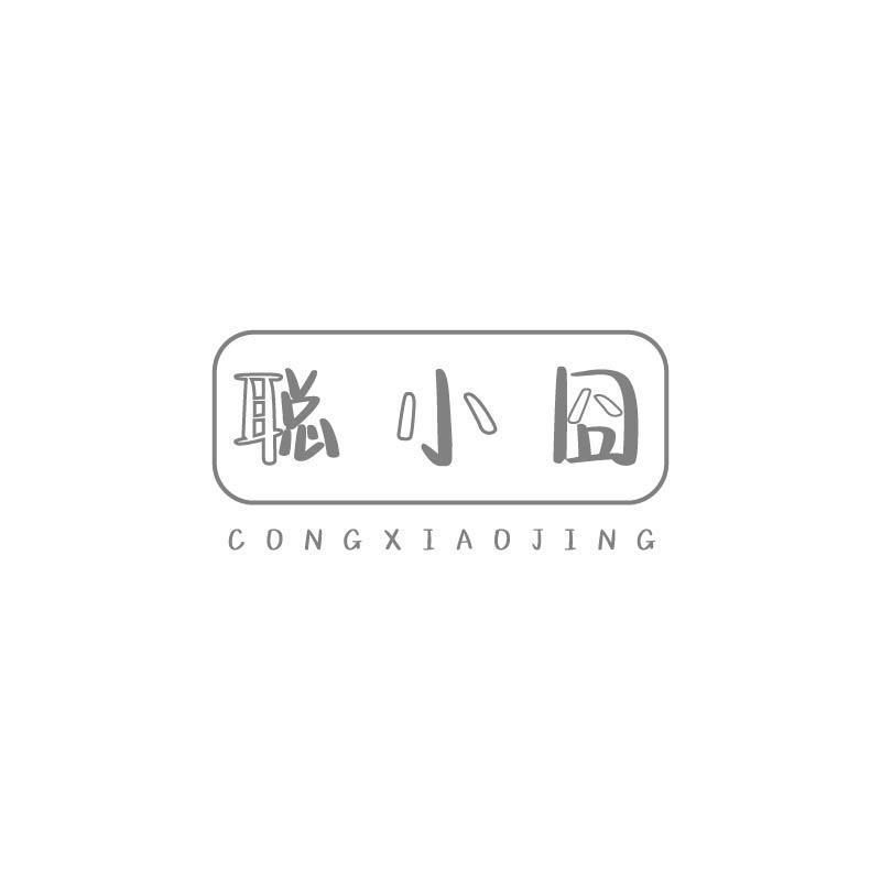 聪小囧 CONGXIAOJING