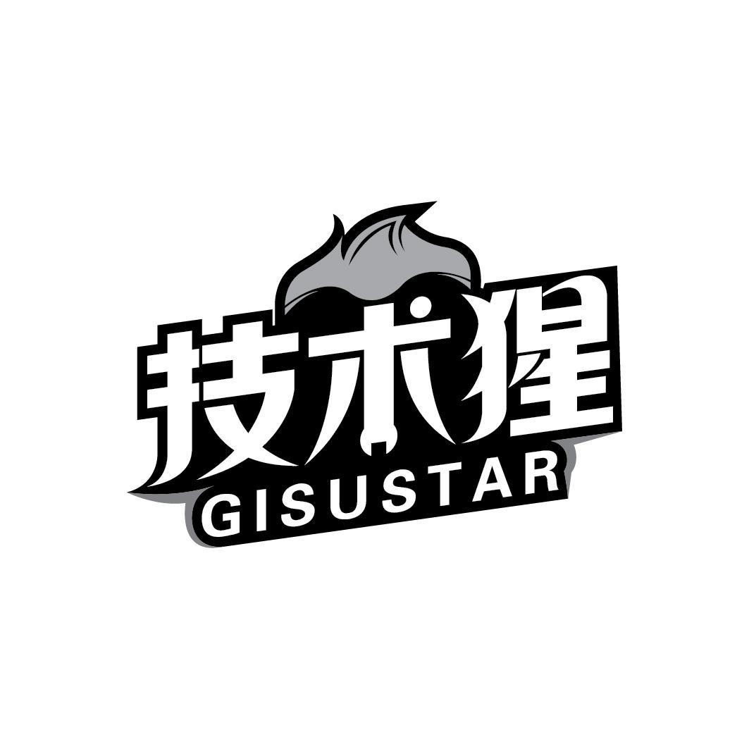 技术猩 GISUSTAR