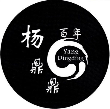 杨鼎鼎 百年 YANG DINGDING