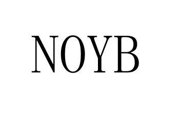 NOYB
