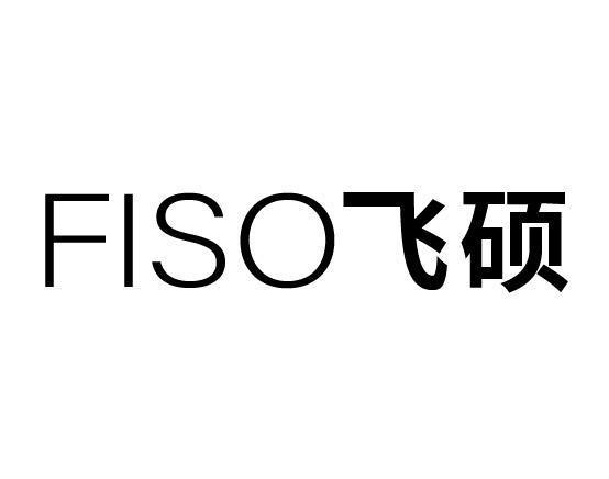 FISO 飞硕