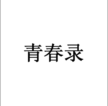 青春录