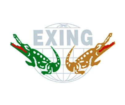 EXING