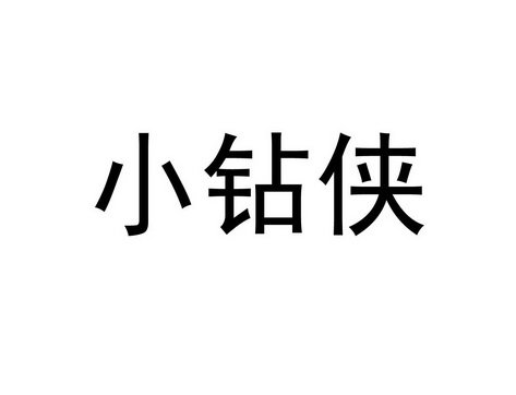 小钻侠