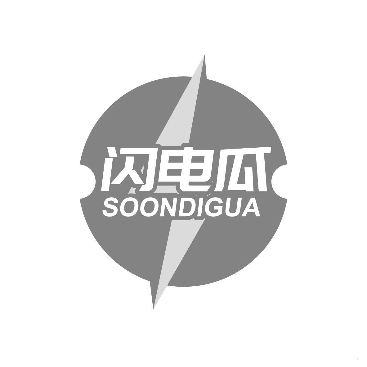 闪电瓜 SOONDIGUA