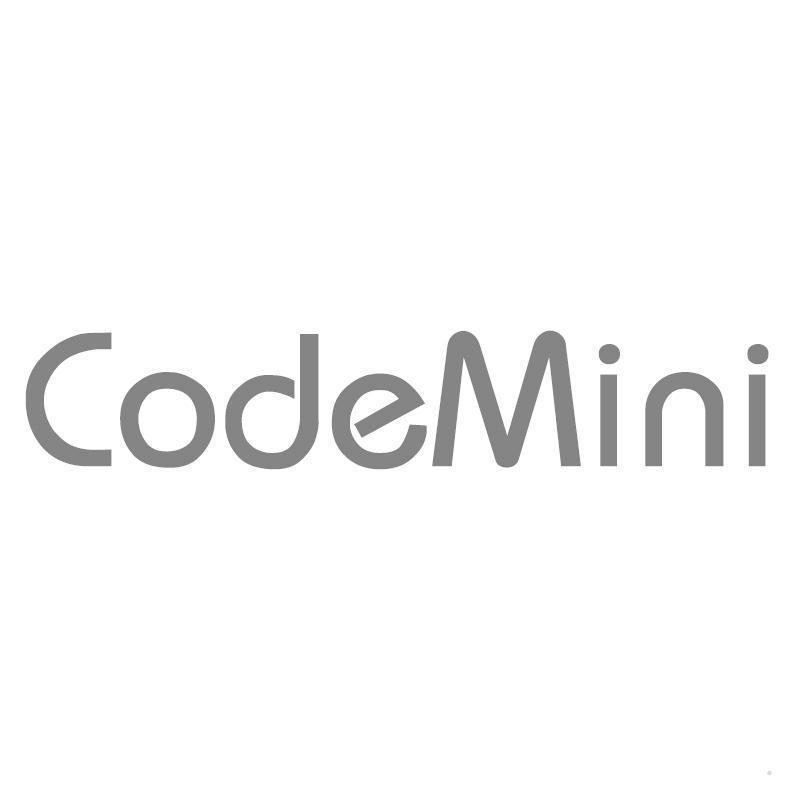 CODEMINI