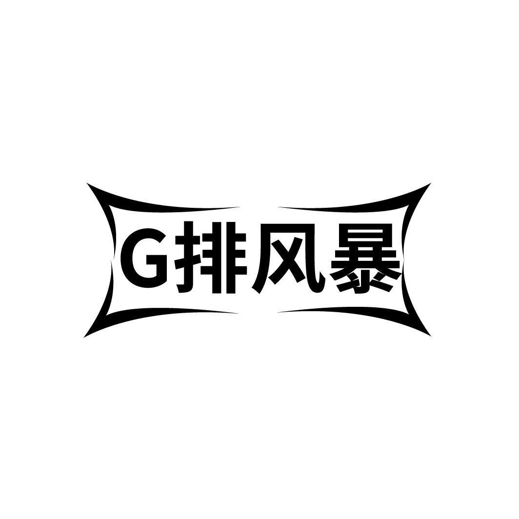 G 排风暴