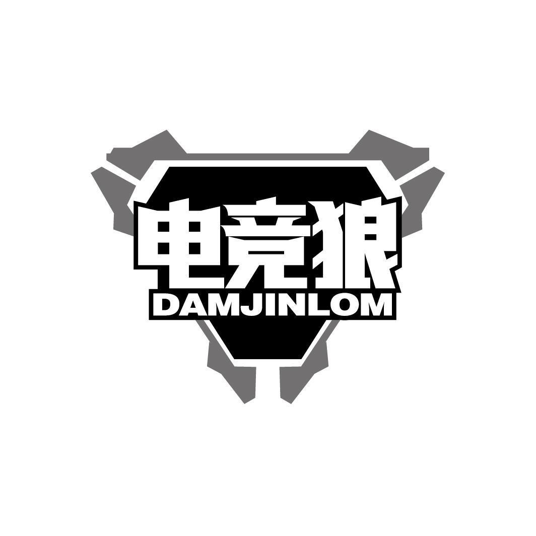 电竞狼 DAMJINLOM