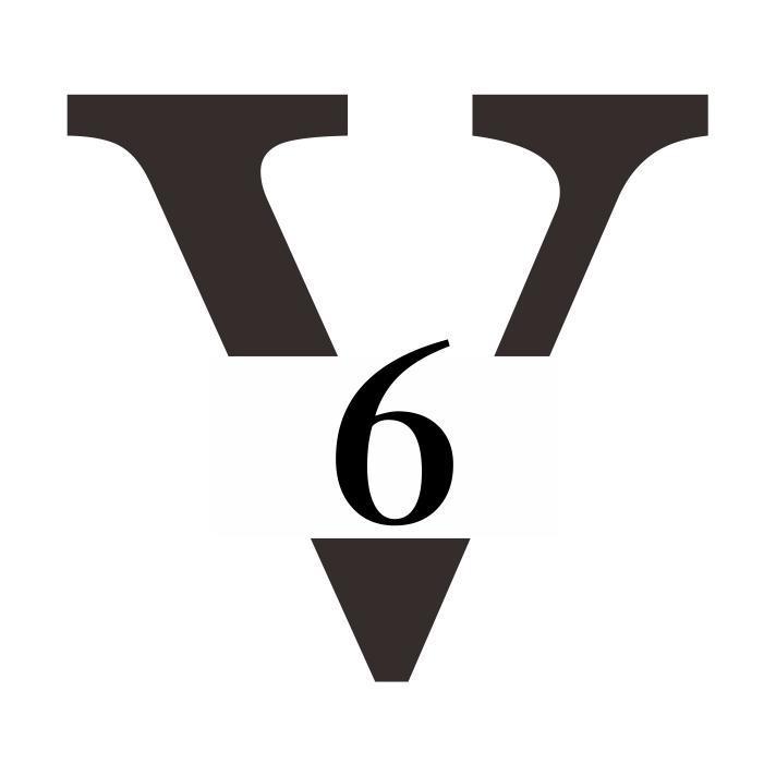 V 6
