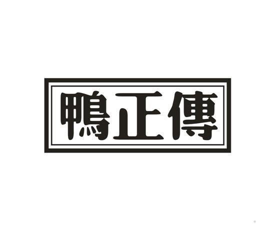 鸭正传