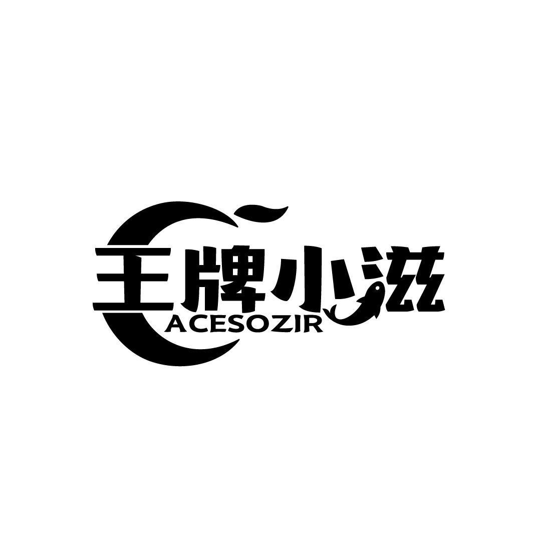 王牌小滋 ACESOZIR