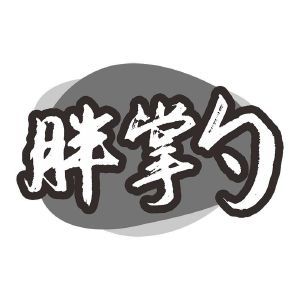 胖掌勺