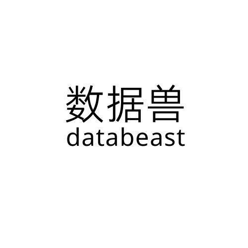 数据兽 DATABEAST