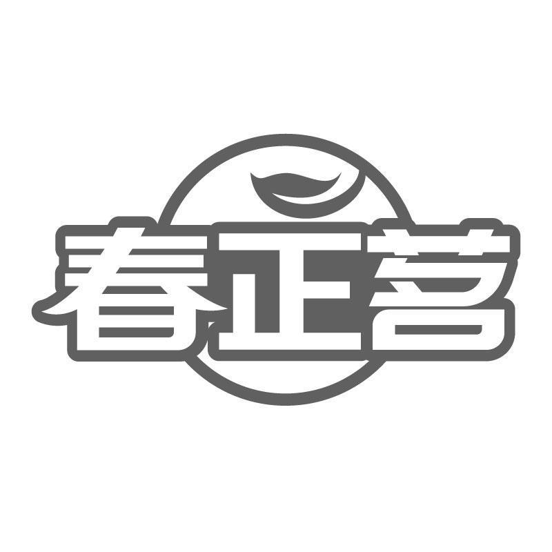 春正茗