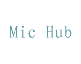 MIC HUB