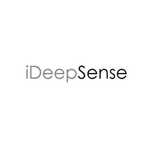 IDEEPSENSE