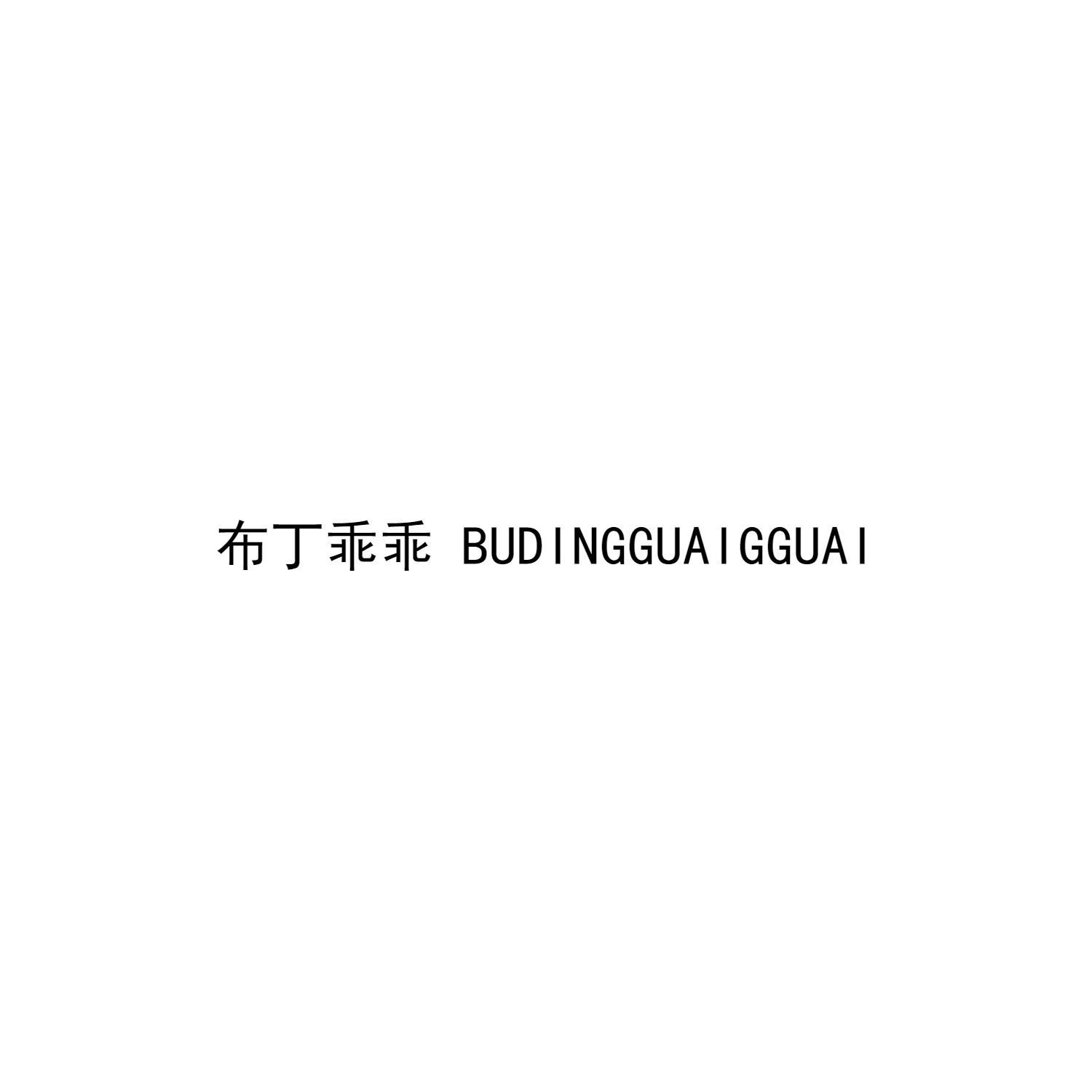 布丁乖乖 BUDINGGUAIGGUAI