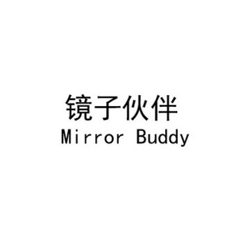 镜子伙伴  MIRROR BUDDY