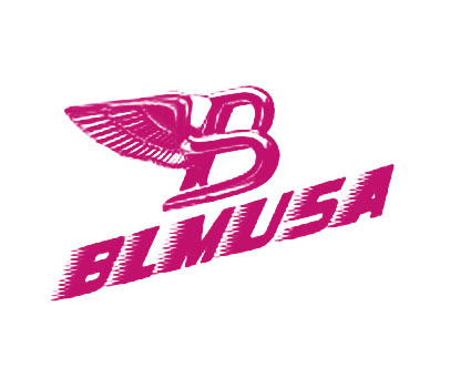 BLMUSA B