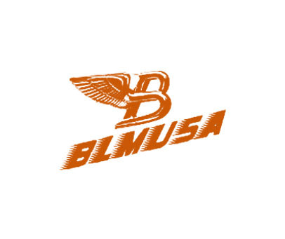 BLMUSA B