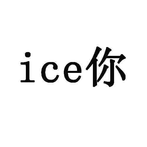 ICE 你