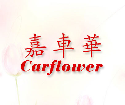 嘉车华 CARFLOWER