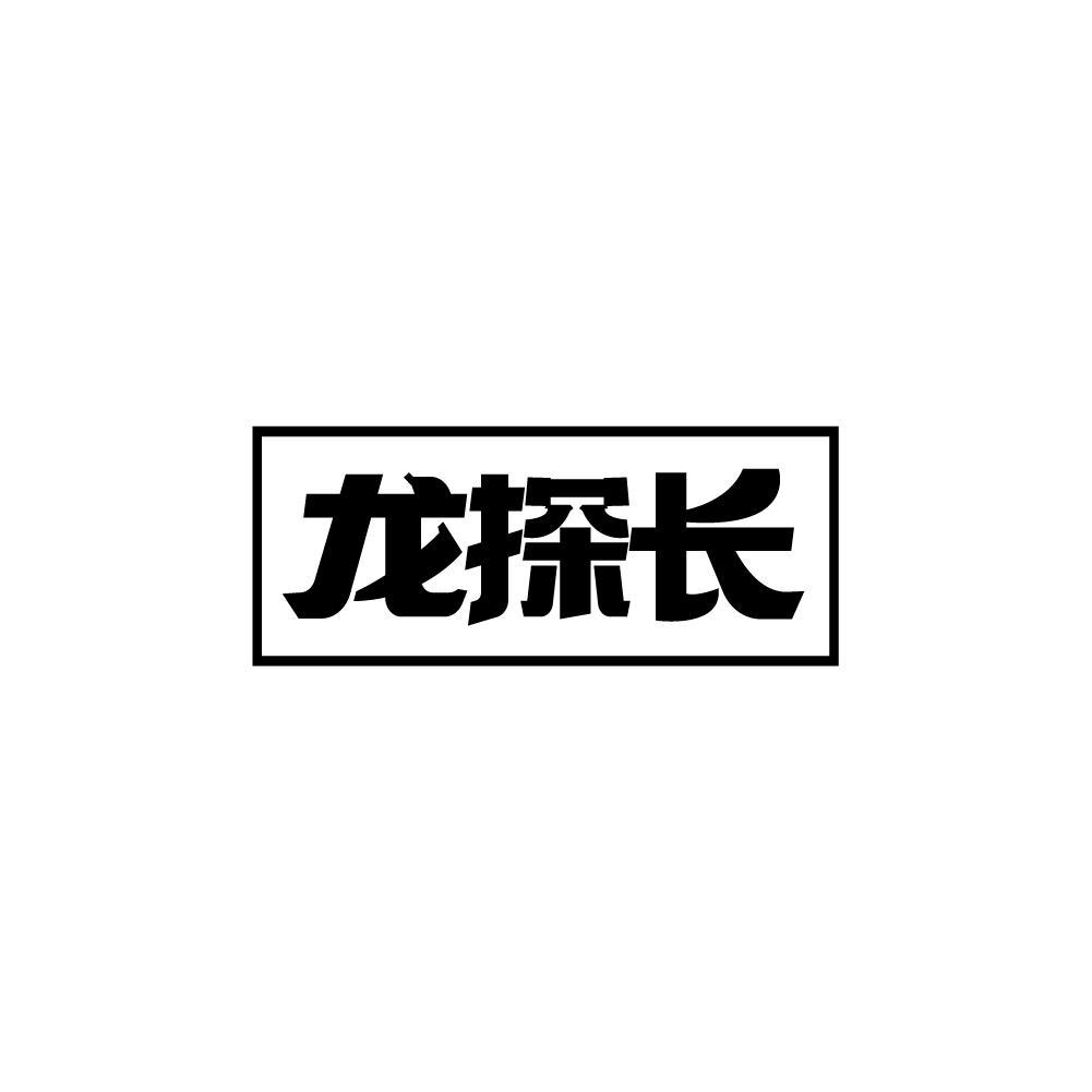 龙探长