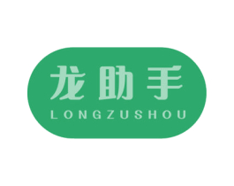 龙助手 LONGZUSHOU