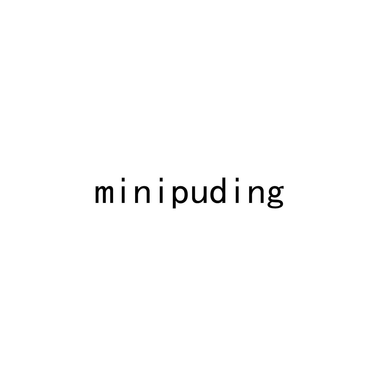 MINIPUDING