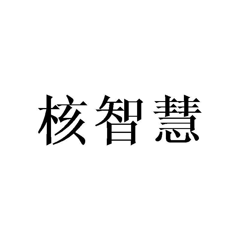 核智慧