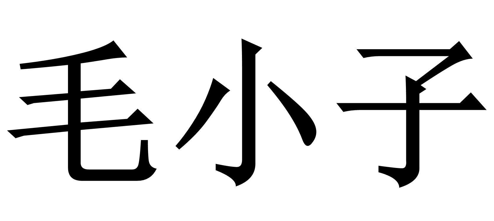 毛小子