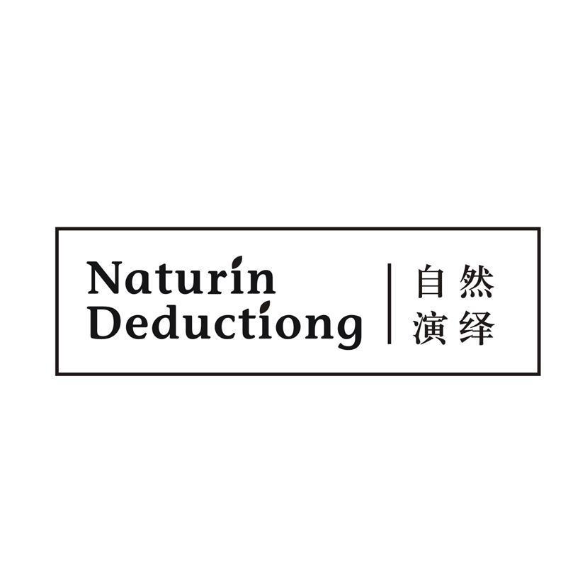 NATURIN DEDUCTIONG 自然演绎