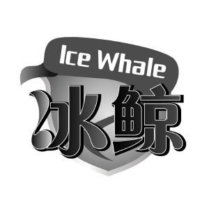 冰鲸 ICE WHALE