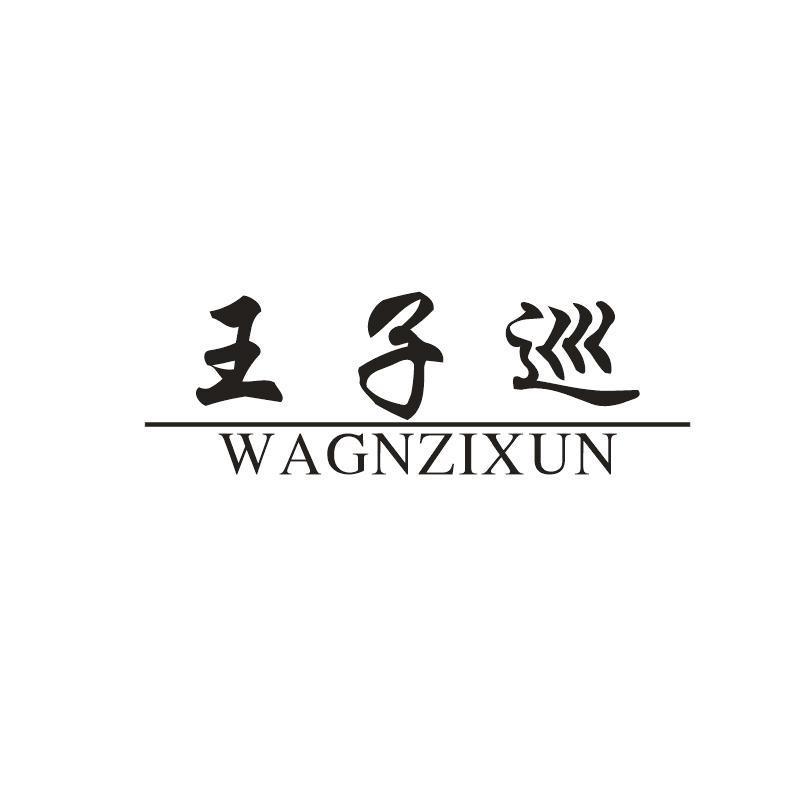 王子巡 WAGNZIXUN