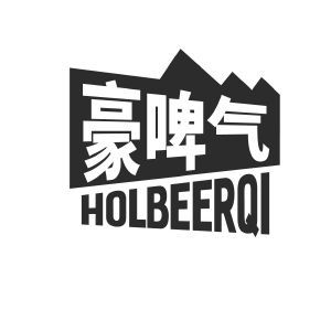 豪啤气 HOLBEERQI