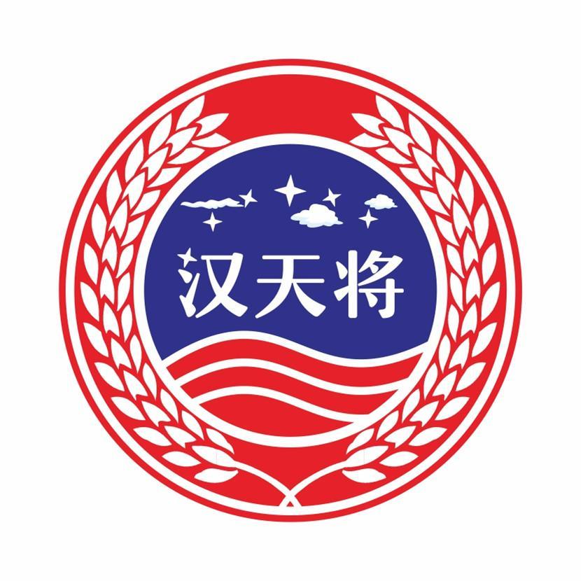 汉天将