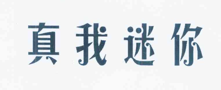 真我迷你