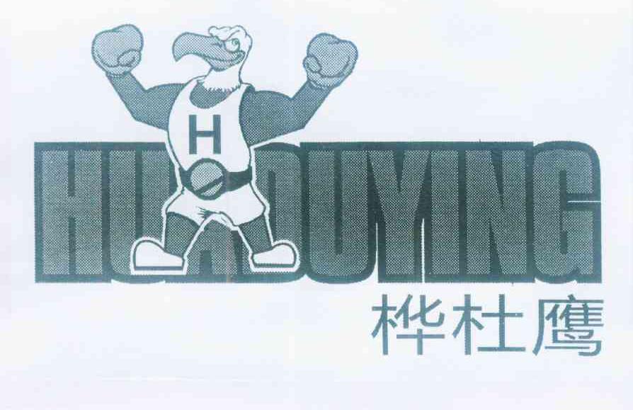 桦杜鹰 H