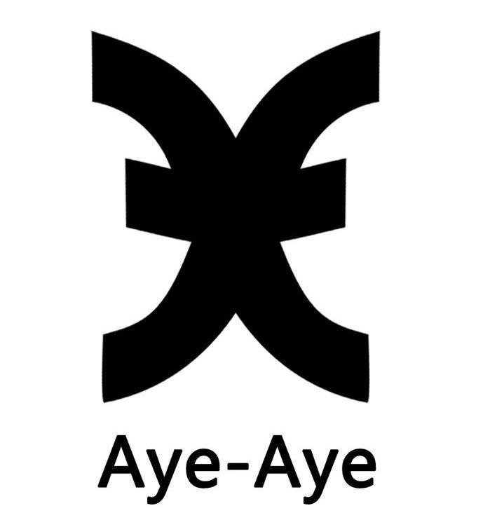 AYE-AYE