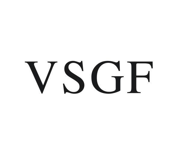 VSGF