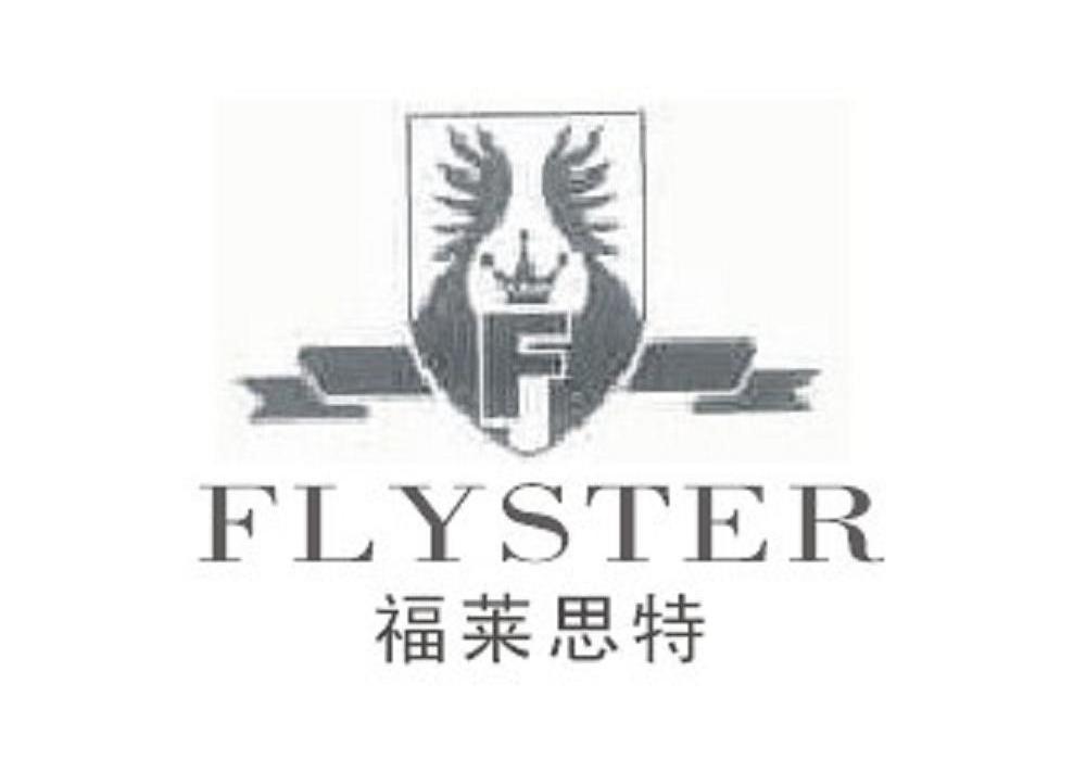 福莱思特 FLYSTER F