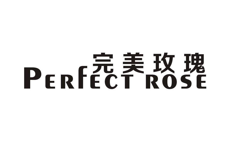 完美玫瑰  PERFECT ROSE