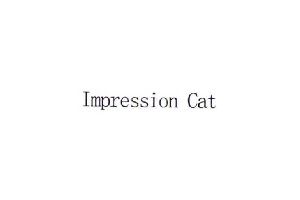 IMPRESSION CAT