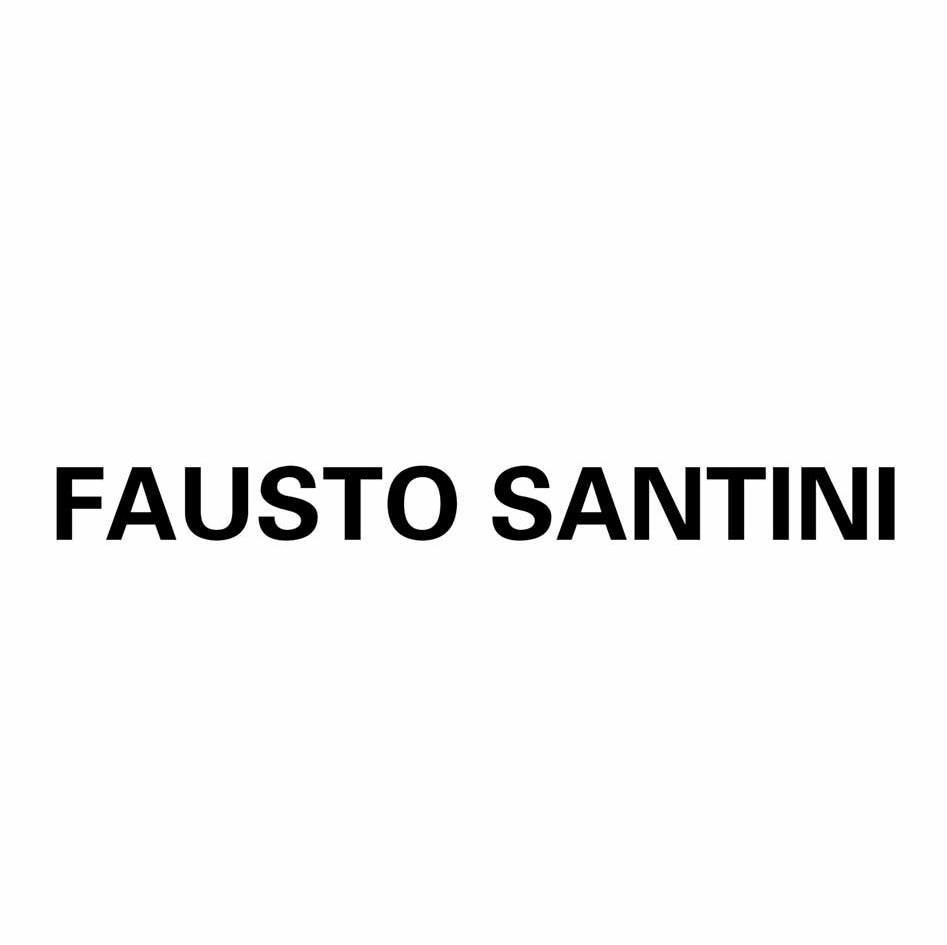 FAUSTO SANTINI